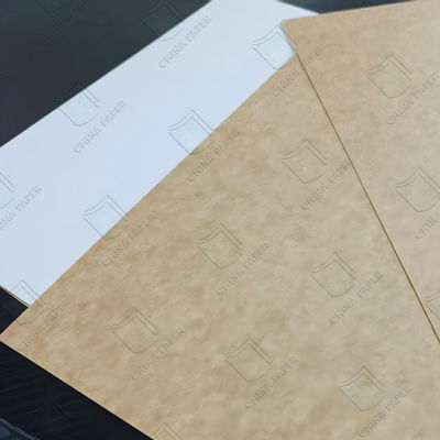 Food Grade Coated Kraft Backboard CKB Kelembaban Proof 600x900mm 700x1000mm